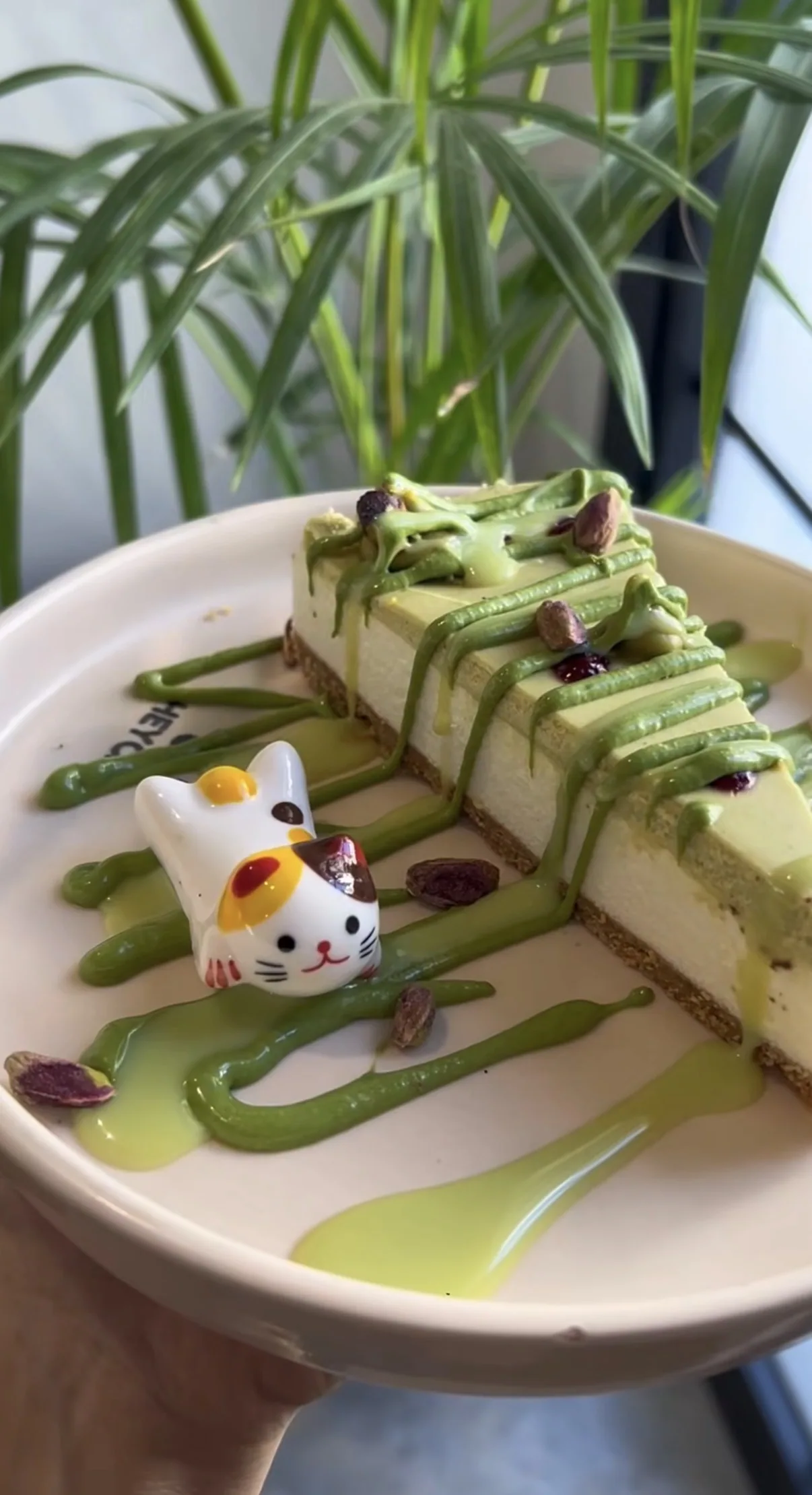 Heycat – 6