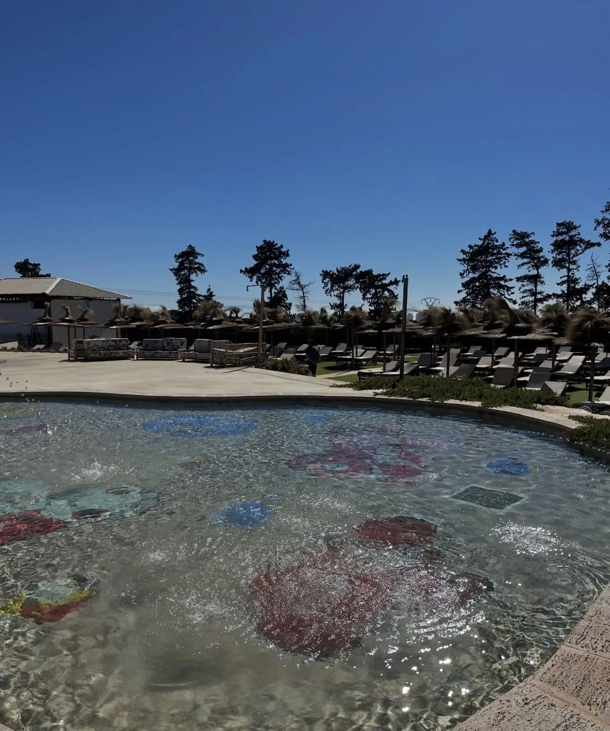 The Palm, Bouchaoui – 4