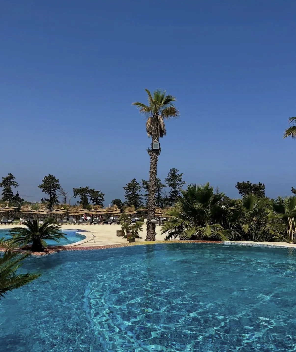 The Palm, Bouchaoui – 2