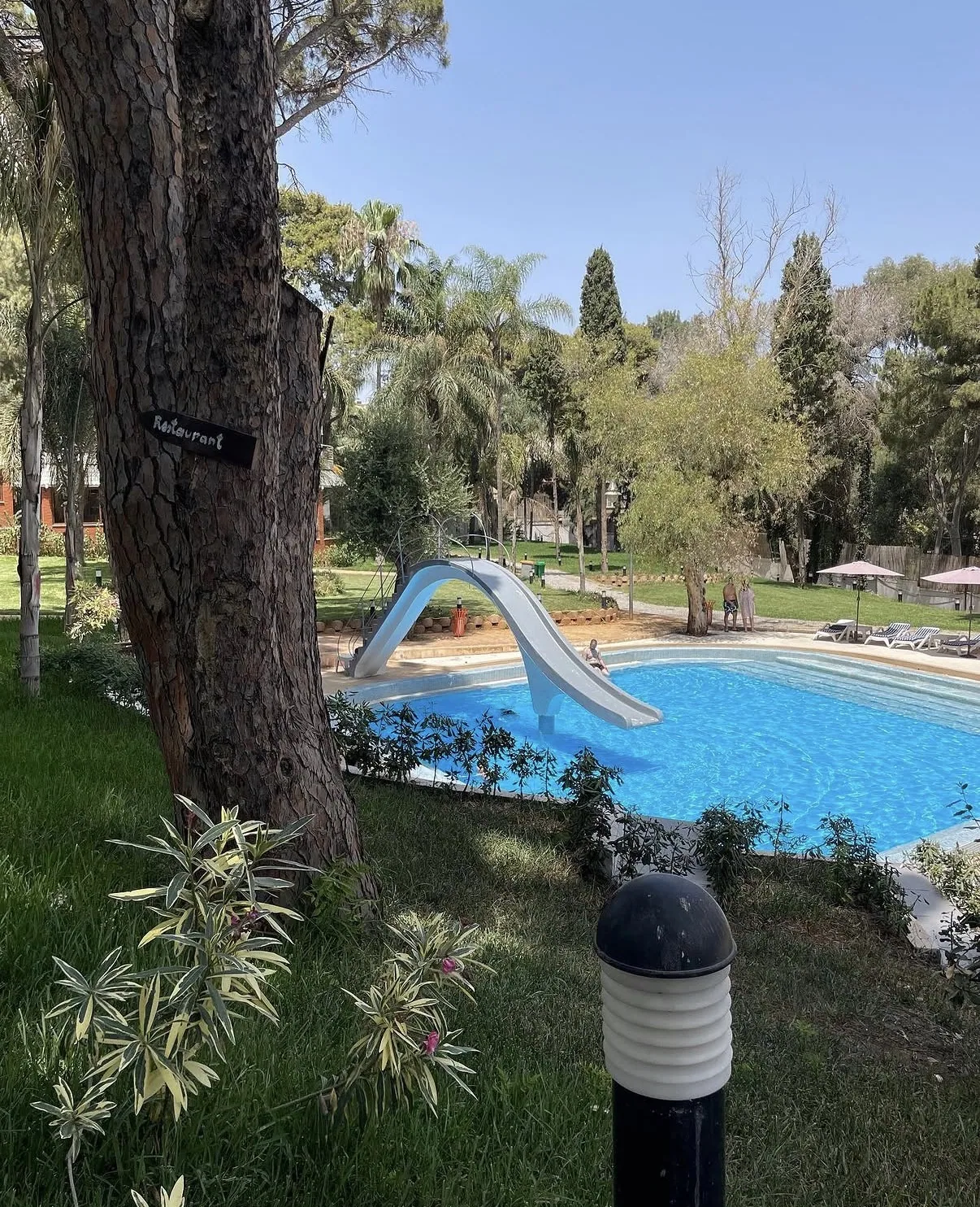 Green Club – 3
